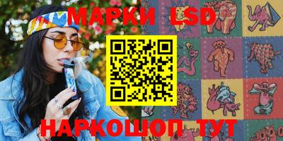 индика Беслан