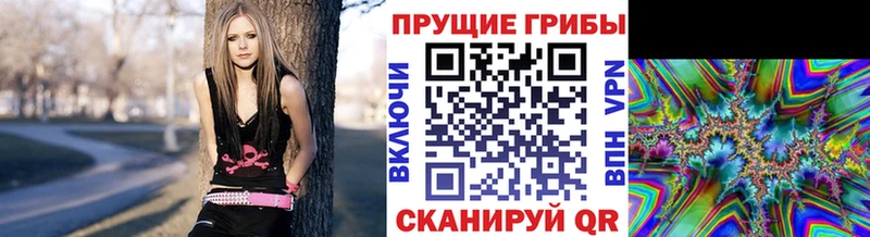 mega зеркало  Екатеринбург  Псилоцибиновые грибы Magic Shrooms 
